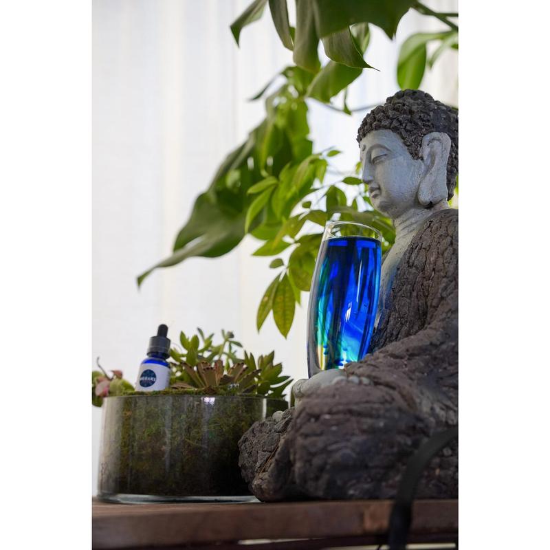 USP Grade Methylene Blue | Enhances Focus Memory & Cognitive Energy - JSS6