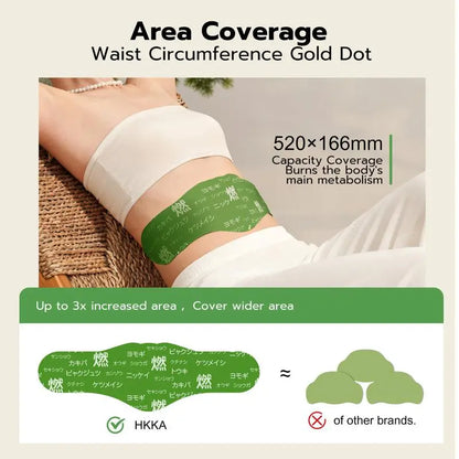⚡Flash Sale Alert🔥 Natural Herbal Waist & Abdomen Patch | Daily Wellness-HZ