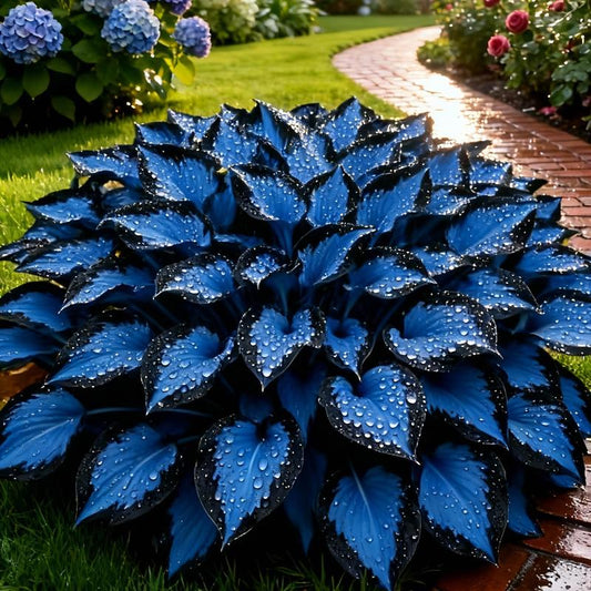 🏆Flash Sale⚡50K+ SOLD!💥🏆Hosta Seeds Perennial Shade Plant-ZDQ8