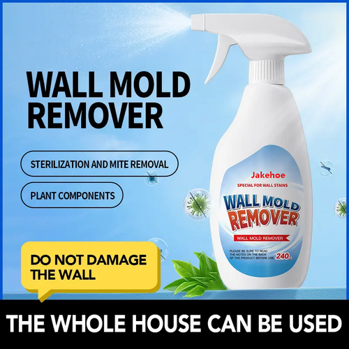 🎁Flash sale🎉50K+ SOLD!✨Zelastra™Wall Mold Remover-W18