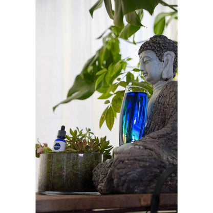 USP Grade Methylene Blue | Enhances Focus Memory & Cognitive Energy - JSS6