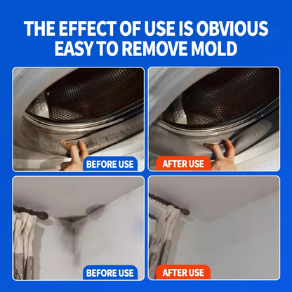 🎁Flash sale🎉50K+ SOLD!✨Zelastra™Wall Mold Remover-W18