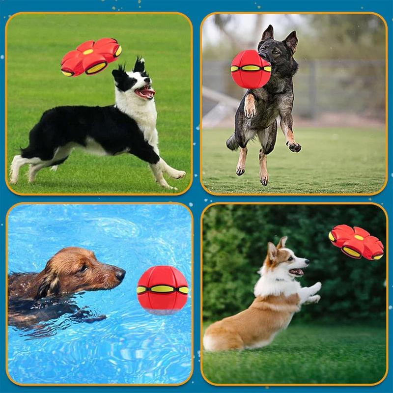 🏆 Flash Sale ⚡ 100K+ Sold🏆 Children's Bouncing Ball -ZDQ8