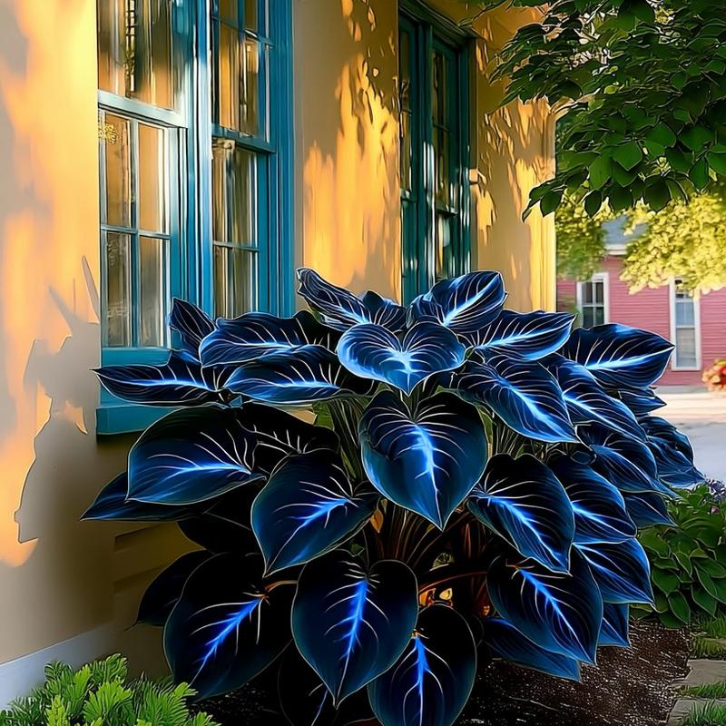 🏆Flash Sale⚡50K+ SOLD!💥🏆Hosta Seeds Perennial Shade Plant-ZDQ8