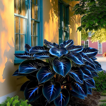 🏆Flash Sale⚡50K+ SOLD!💥🏆Hosta Seeds Perennial Shade Plant-ZDQ8