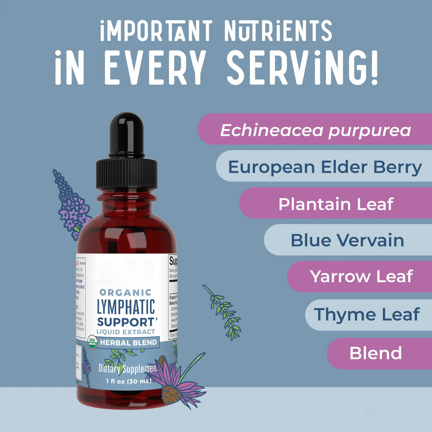 🏆Flash Sale⚡ 160K+ SOLD! 🏆- Lymphatic Support Herbal Blend Liquid Drops - YTY5