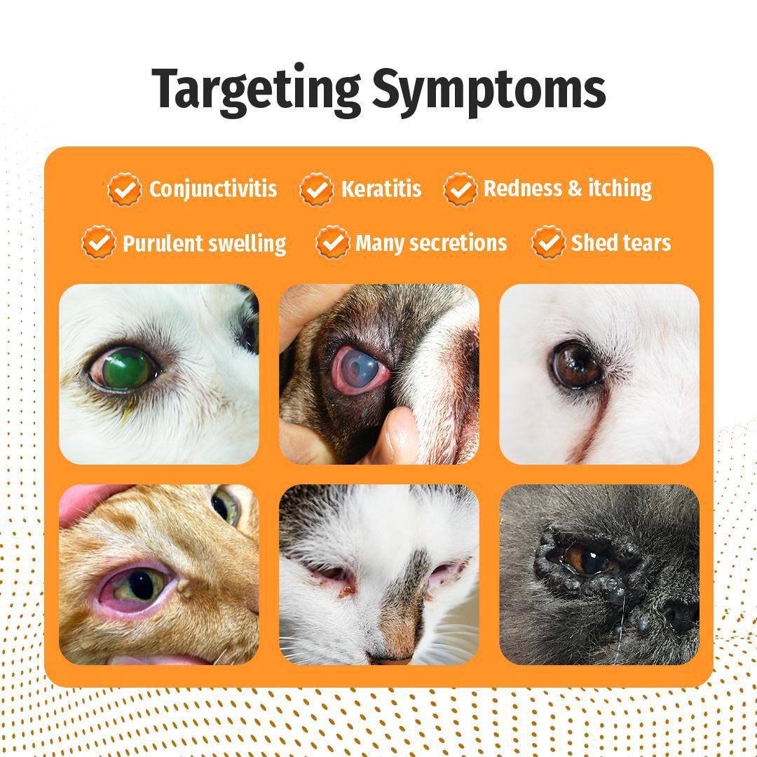 🏆Crazy-Sale🏆 160K+ SOLD!✨PET Dog Eye Drops（Upgraded Version）, Eye Drops for Dogs&Cats,  Soothe Dry Eyes Pink Eyes-886