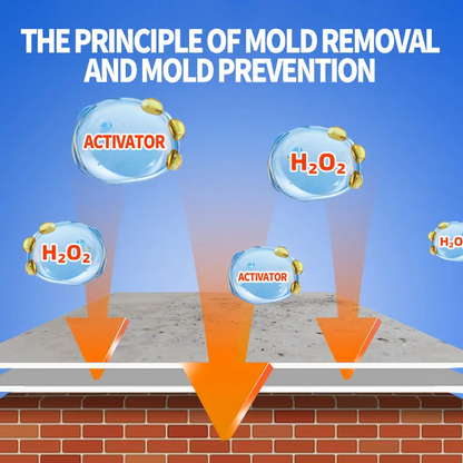 🎁Flash sale🎉50K+ SOLD!✨Zelastra™Wall Mold Remover-W18