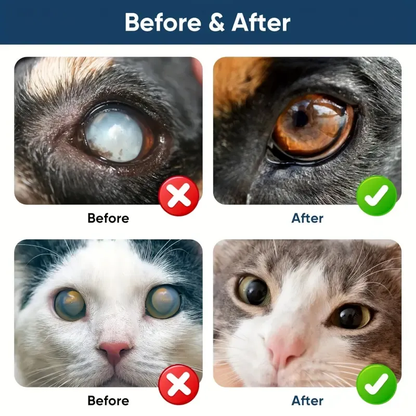 🏆Crazy-Sale🏆 160K+ SOLD!✨PET Dog Eye Drops（Upgraded Version）, Eye Drops for Dogs&Cats,  Soothe Dry Eyes Pink Eyes-886