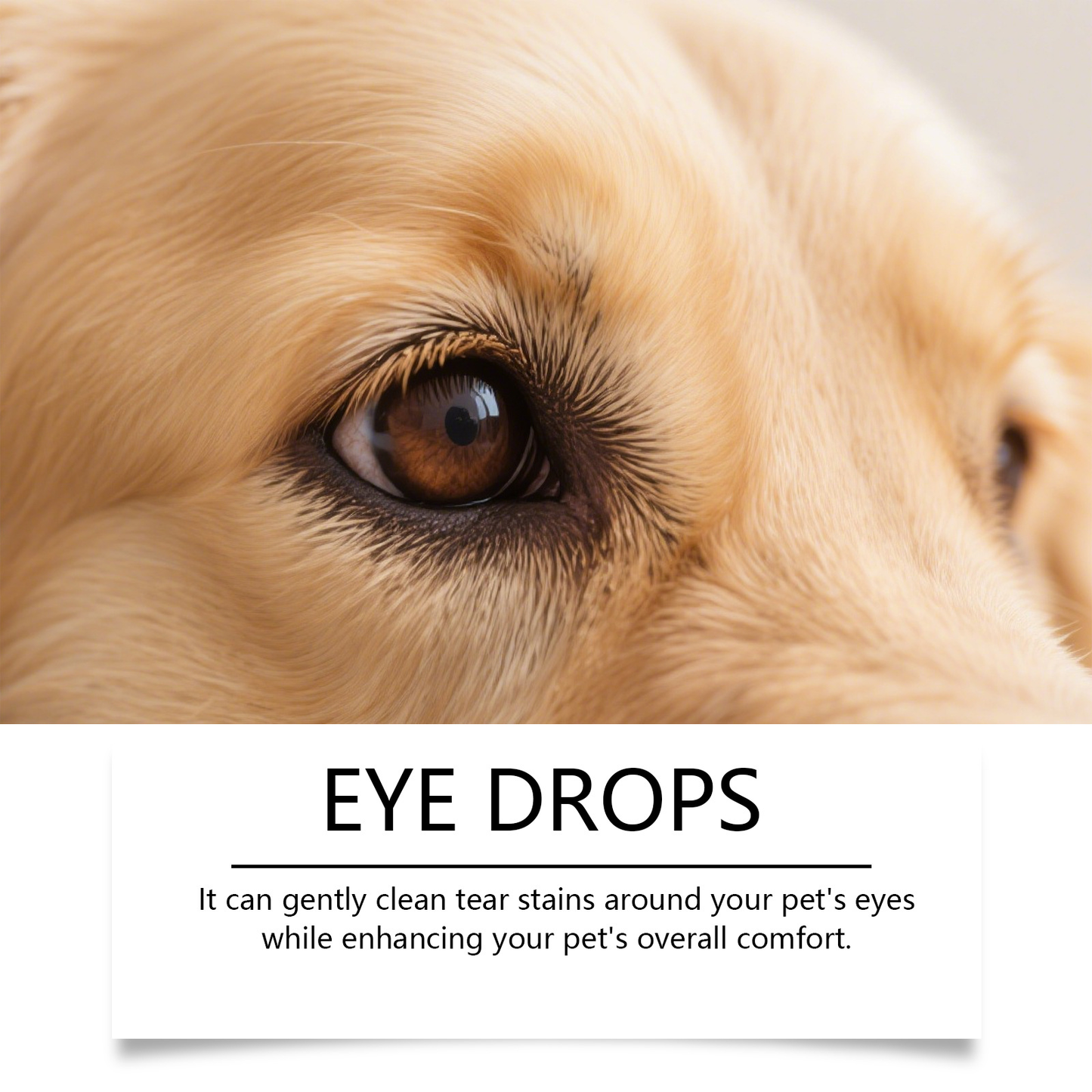 🏆Crazy-Sale🏆 160K+ SOLD!✨PET Dog Eye Drops（Upgraded Version）, Eye Drops for Dogs&Cats,  Soothe Dry Eyes Pink Eyes-886